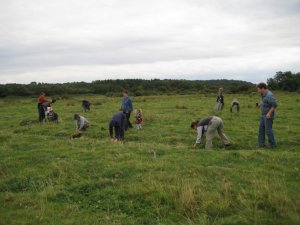 Ringing Group setting nets.  Photographed by Lucy Yates.