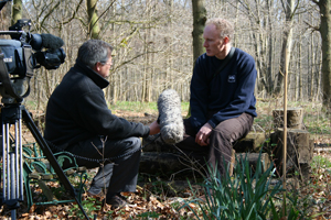 Filming with the BBC for a story about amphibians in gardens