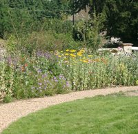 Border at the BTO Nunnery Garden