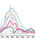 Annual results