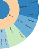 Communities of birds and other wildlife