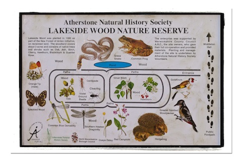 ANHS Lakeside Wood Reserve