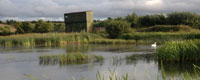 Tower Hide, Walmsley Sanctuary