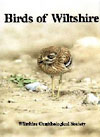 Birds of Wiltshire