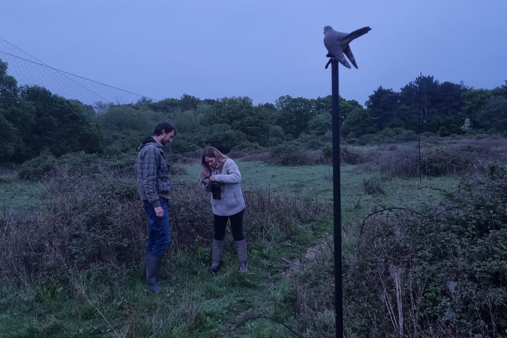 Fieldworkers extract Bluey from the mist net. Lee Barber