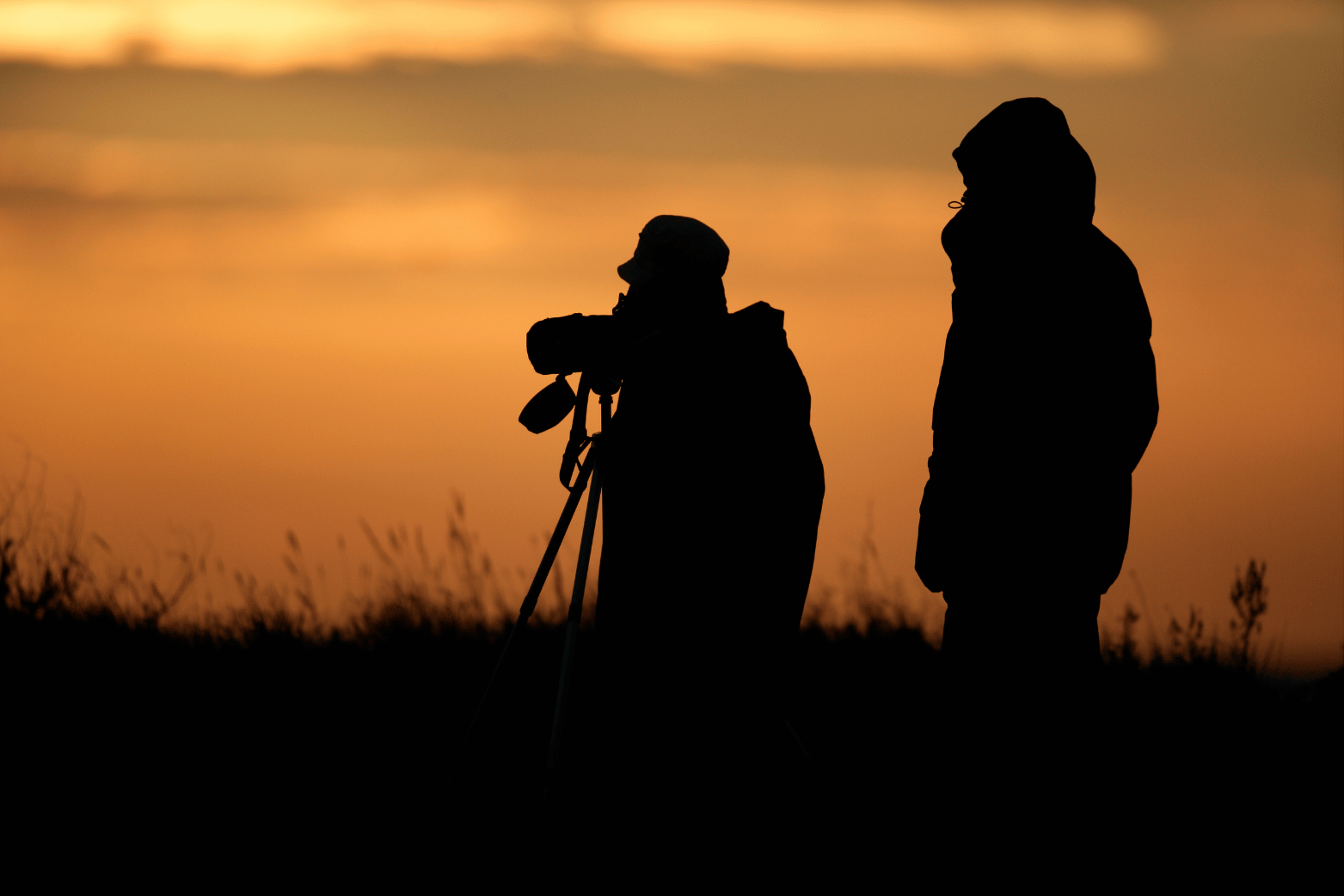 Winter Gull Survey volunteers. Mike Lane