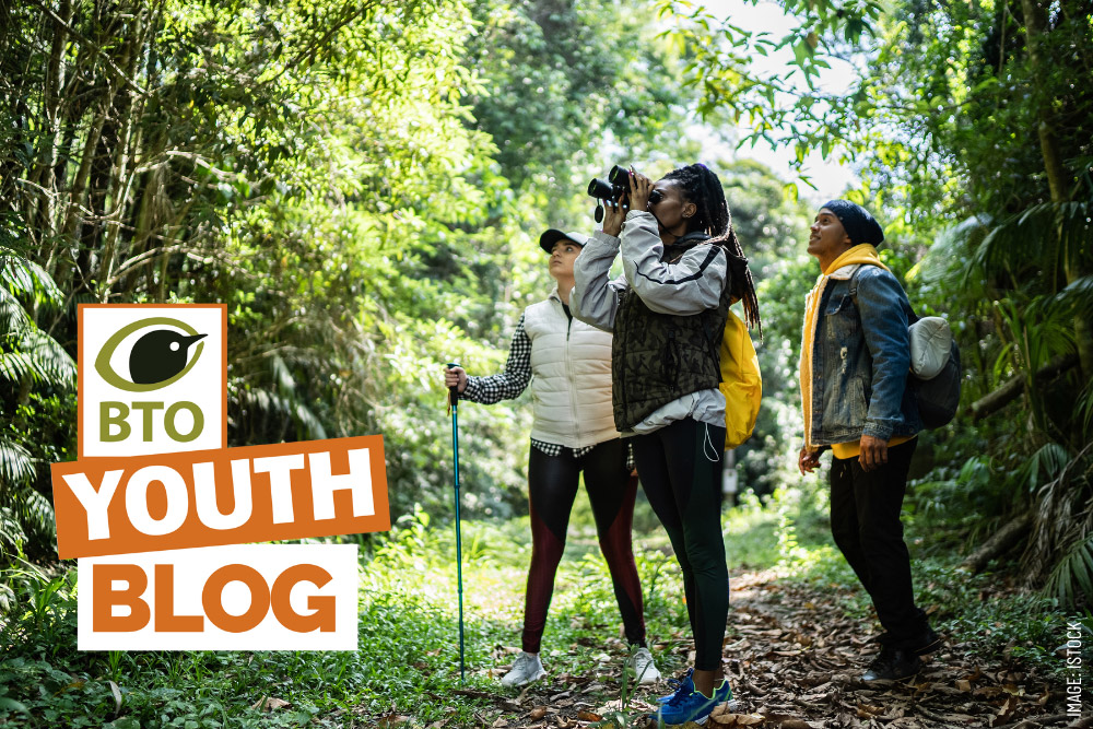 BTO Youth Blog